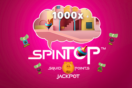 Spin Top